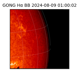 gong - 2024-08-09T01:00:02