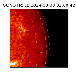 gong - 2024-08-09T02:00:42