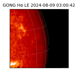 gong - 2024-08-09T03:00:42