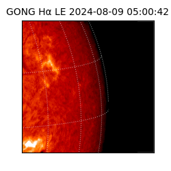 gong - 2024-08-09T05:00:42