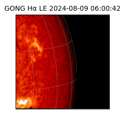 gong - 2024-08-09T06:00:42