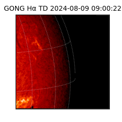 gong - 2024-08-09T09:00:22