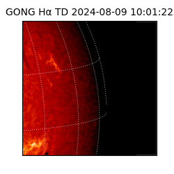 gong - 2024-08-09T10:01:22