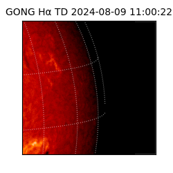 gong - 2024-08-09T11:00:22