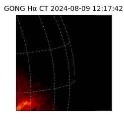 gong - 2024-08-09T12:17:42