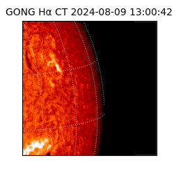 gong - 2024-08-09T13:00:42