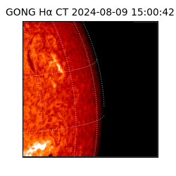 gong - 2024-08-09T15:00:42