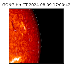gong - 2024-08-09T17:00:42