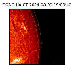 gong - 2024-08-09T19:00:42