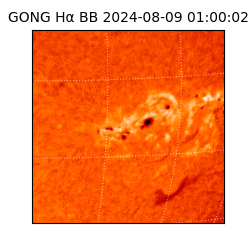 gong - 2024-08-09T01:00:02