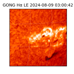 gong - 2024-08-09T03:00:42