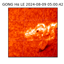 gong - 2024-08-09T05:00:42