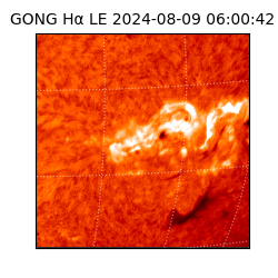 gong - 2024-08-09T06:00:42