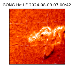 gong - 2024-08-09T07:00:42