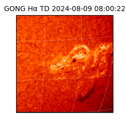 gong - 2024-08-09T08:00:22