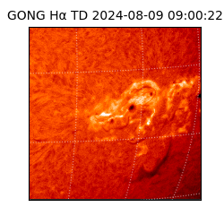 gong - 2024-08-09T09:00:22