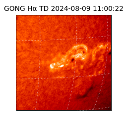 gong - 2024-08-09T11:00:22
