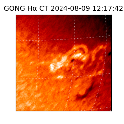 gong - 2024-08-09T12:17:42