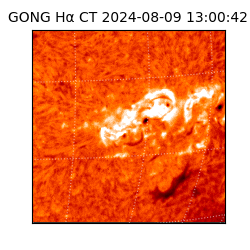 gong - 2024-08-09T13:00:42