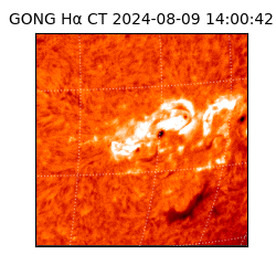 gong - 2024-08-09T14:00:42