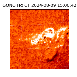 gong - 2024-08-09T15:00:42