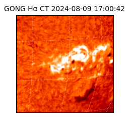 gong - 2024-08-09T17:00:42