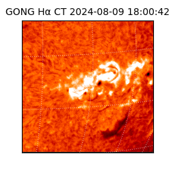 gong - 2024-08-09T18:00:42