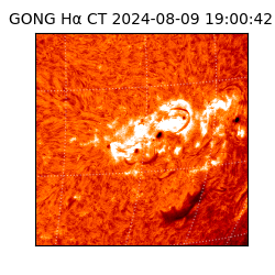 gong - 2024-08-09T19:00:42