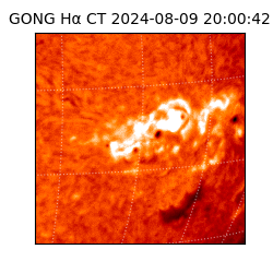 gong - 2024-08-09T20:00:42