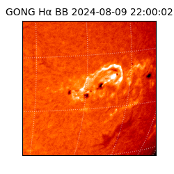 gong - 2024-08-09T22:00:02