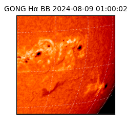 gong - 2024-08-09T01:00:02