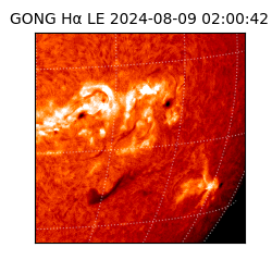 gong - 2024-08-09T02:00:42