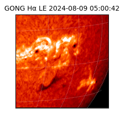 gong - 2024-08-09T05:00:42