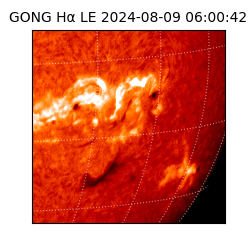 gong - 2024-08-09T06:00:42