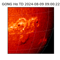 gong - 2024-08-09T09:00:22