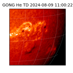 gong - 2024-08-09T11:00:22