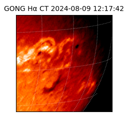 gong - 2024-08-09T12:17:42