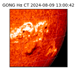 gong - 2024-08-09T13:00:42