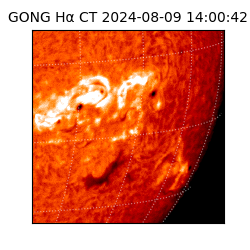 gong - 2024-08-09T14:00:42