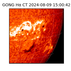 gong - 2024-08-09T15:00:42