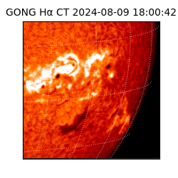 gong - 2024-08-09T18:00:42