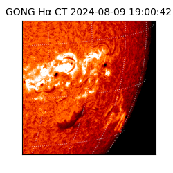 gong - 2024-08-09T19:00:42