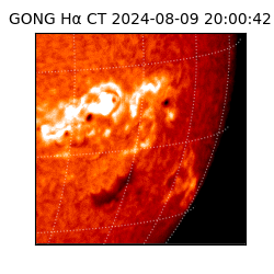 gong - 2024-08-09T20:00:42