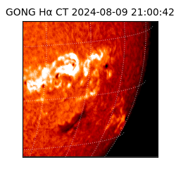 gong - 2024-08-09T21:00:42