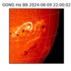 gong - 2024-08-09T22:00:02