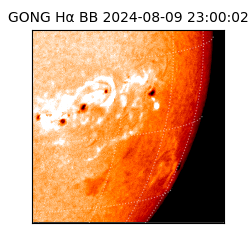 gong - 2024-08-09T23:00:02