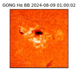 gong - 2024-08-09T01:00:02