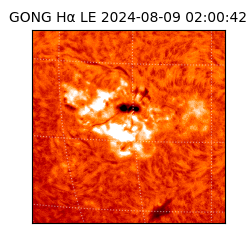 gong - 2024-08-09T02:00:42