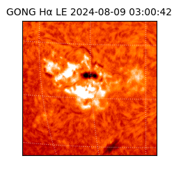 gong - 2024-08-09T03:00:42