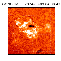 gong - 2024-08-09T04:00:42
